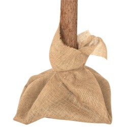 Choinka Sztuczna Mark Adler Xmas 1.0