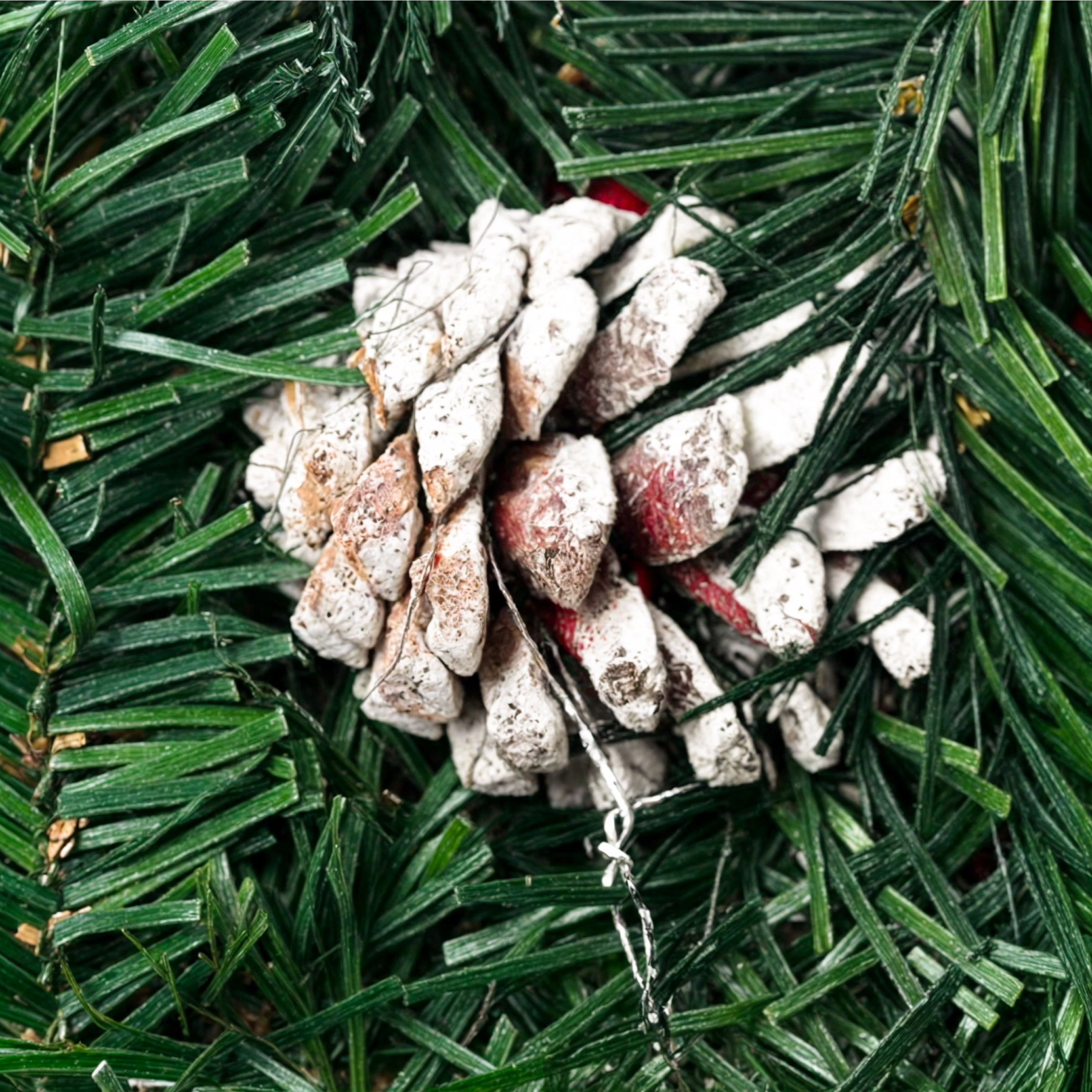 Naturalne szyszki w Xmas 20