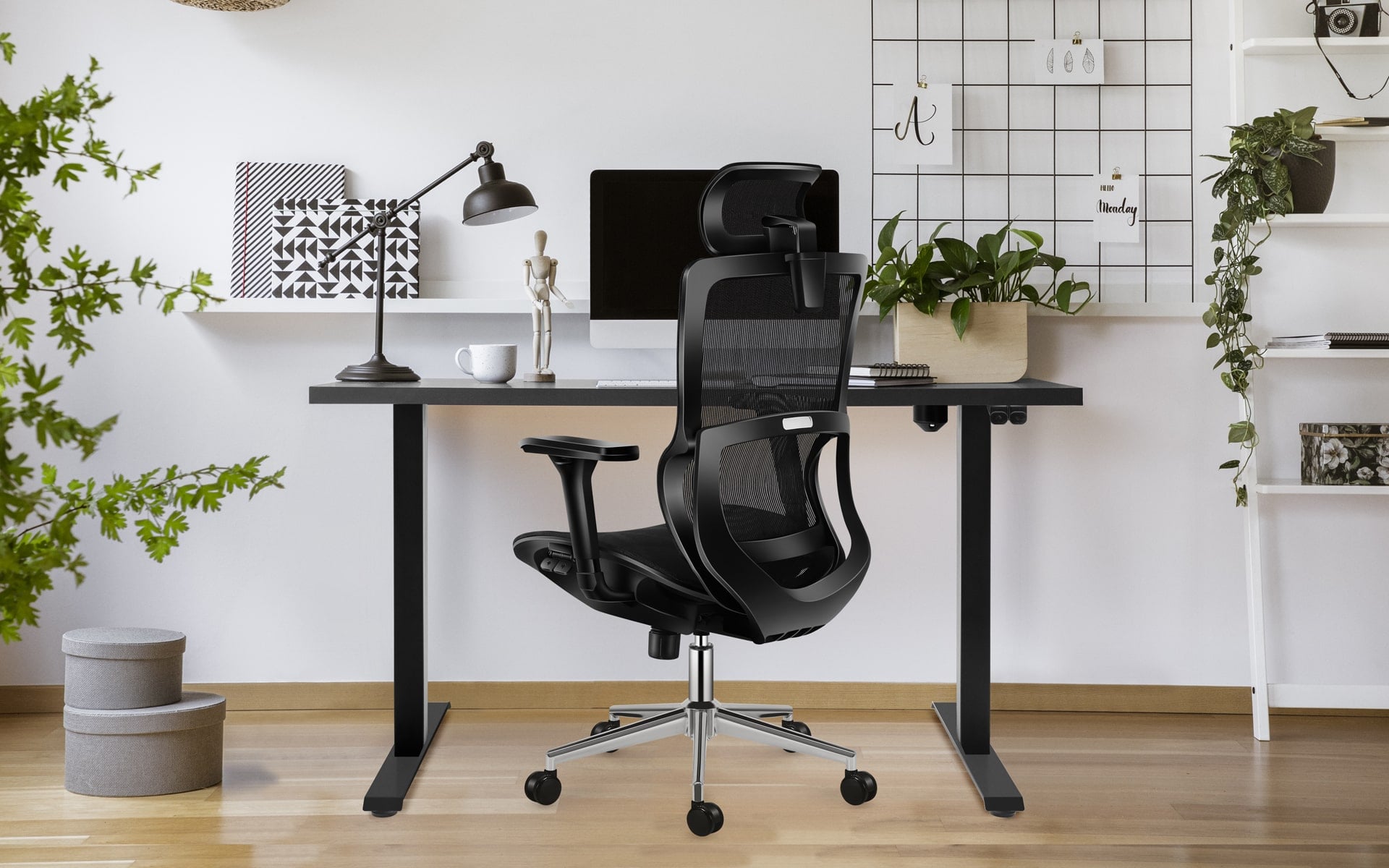 Eksponowanie fotela Expert 6.2 w wnętrzu