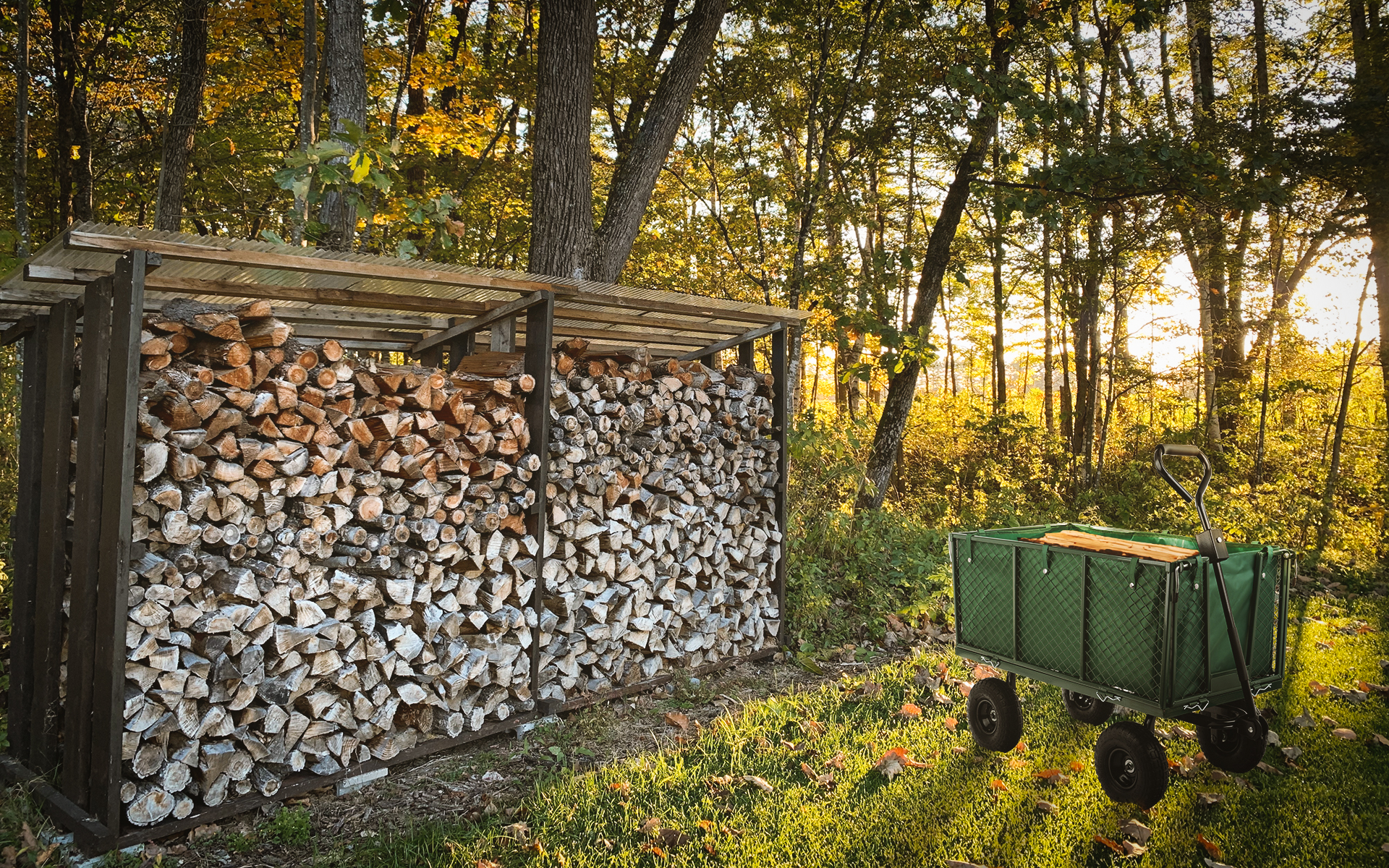 Wózek ogrodowy Cart 4.5 wizualizacja