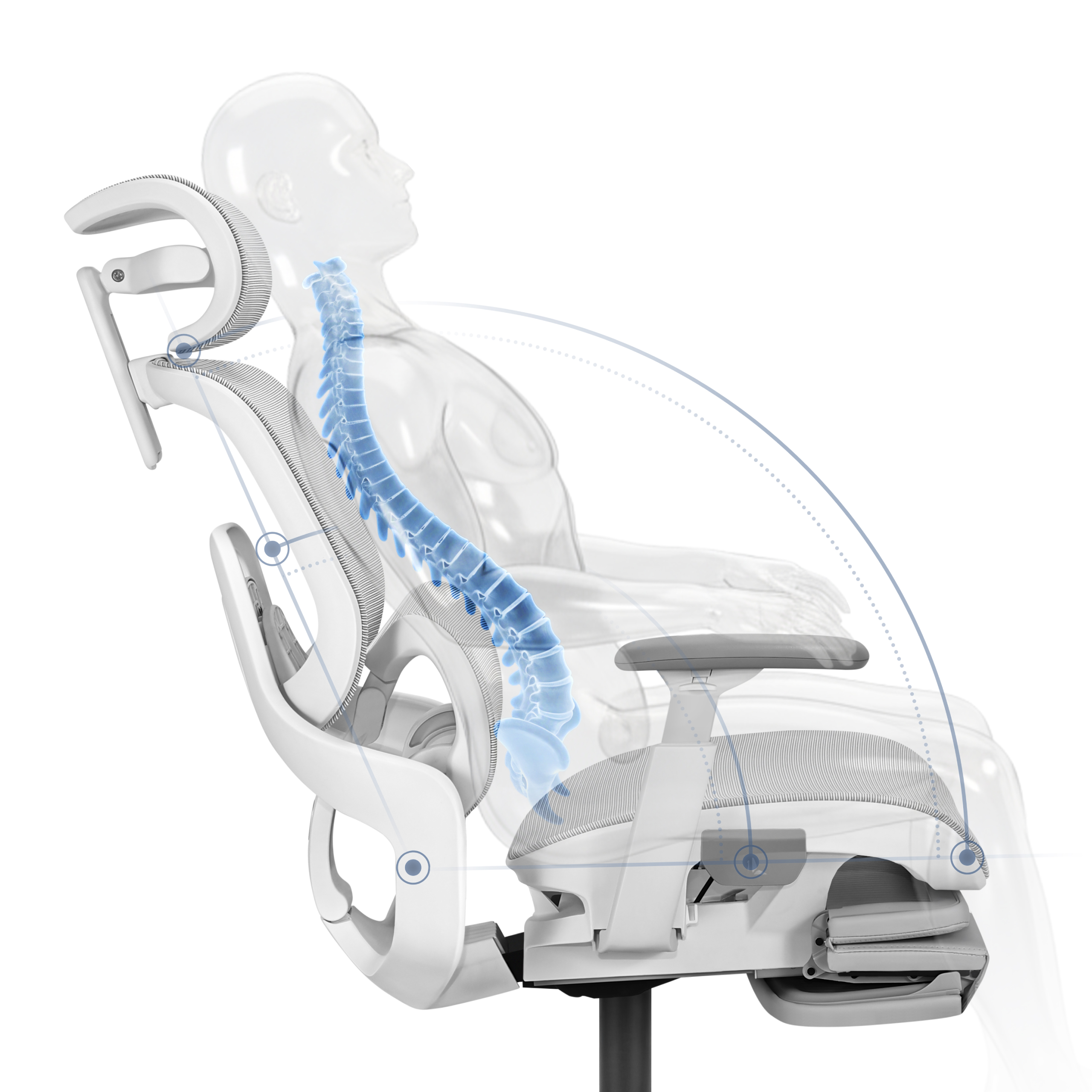 Regulowane oparcie podpora lędźwiowa Expert 9.3